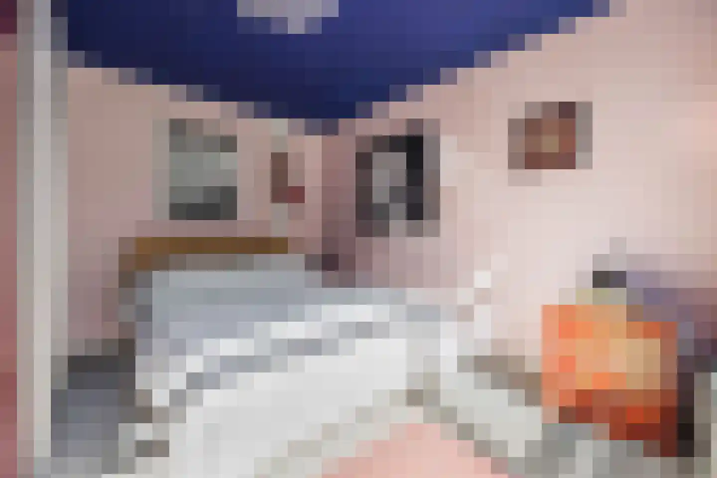 Jagersmast 8 Den Haag thumbnail 19