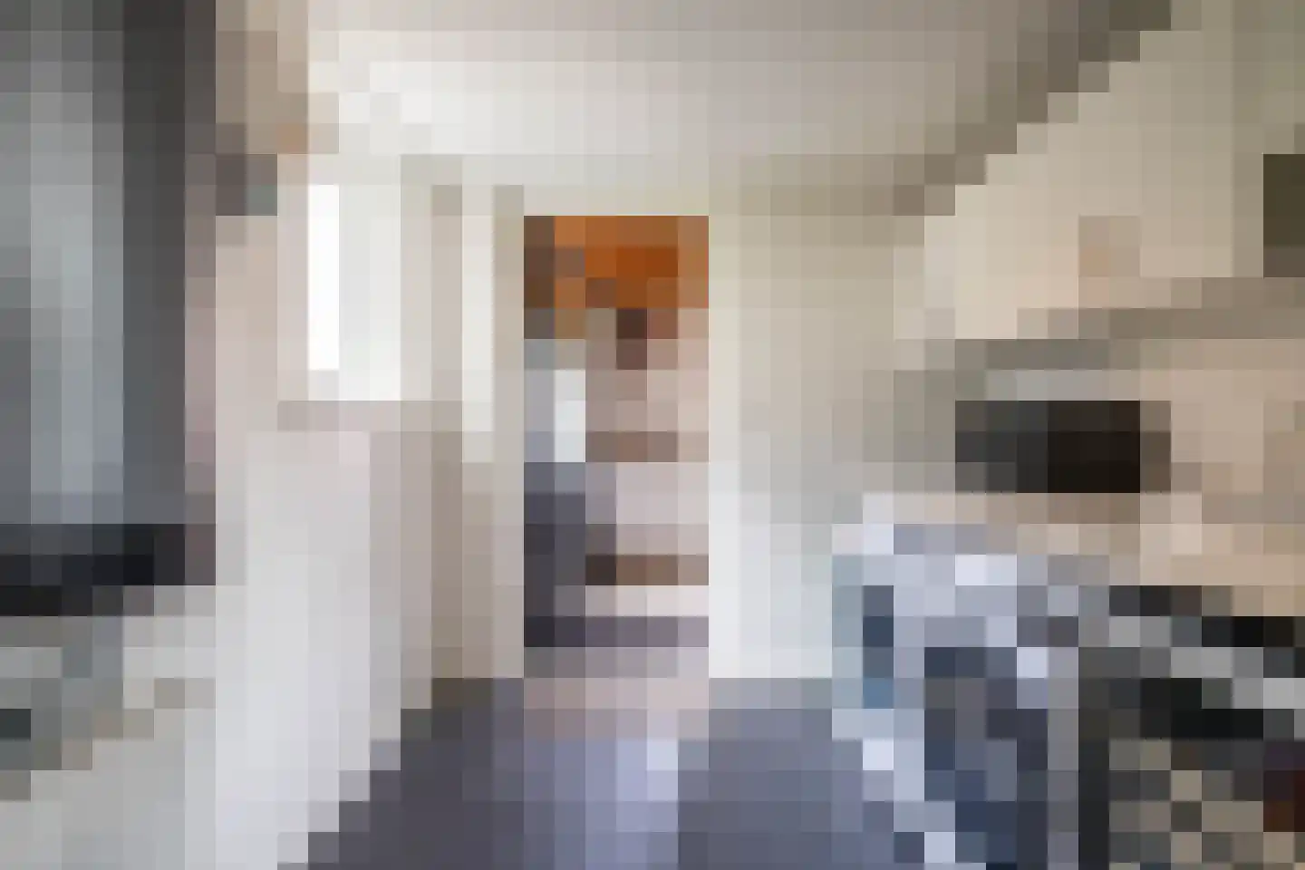 Jagerspaad 3 Beetsterzwaag thumbnail 22