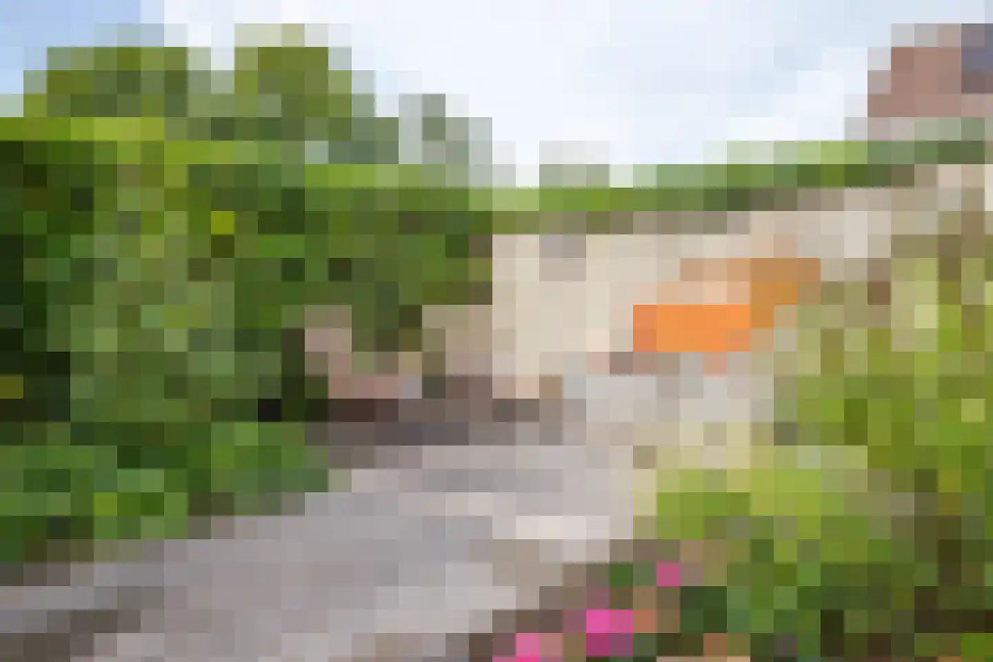 Jagerspaad 3 Beetsterzwaag thumbnail 35