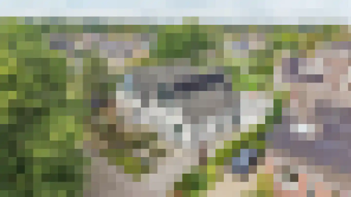 Jagerspaad 3 Beetsterzwaag thumbnail 41
