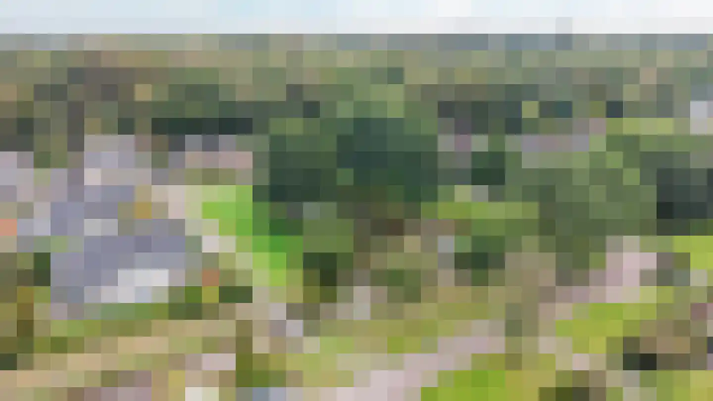Jagerspaad 3 Beetsterzwaag thumbnail 44