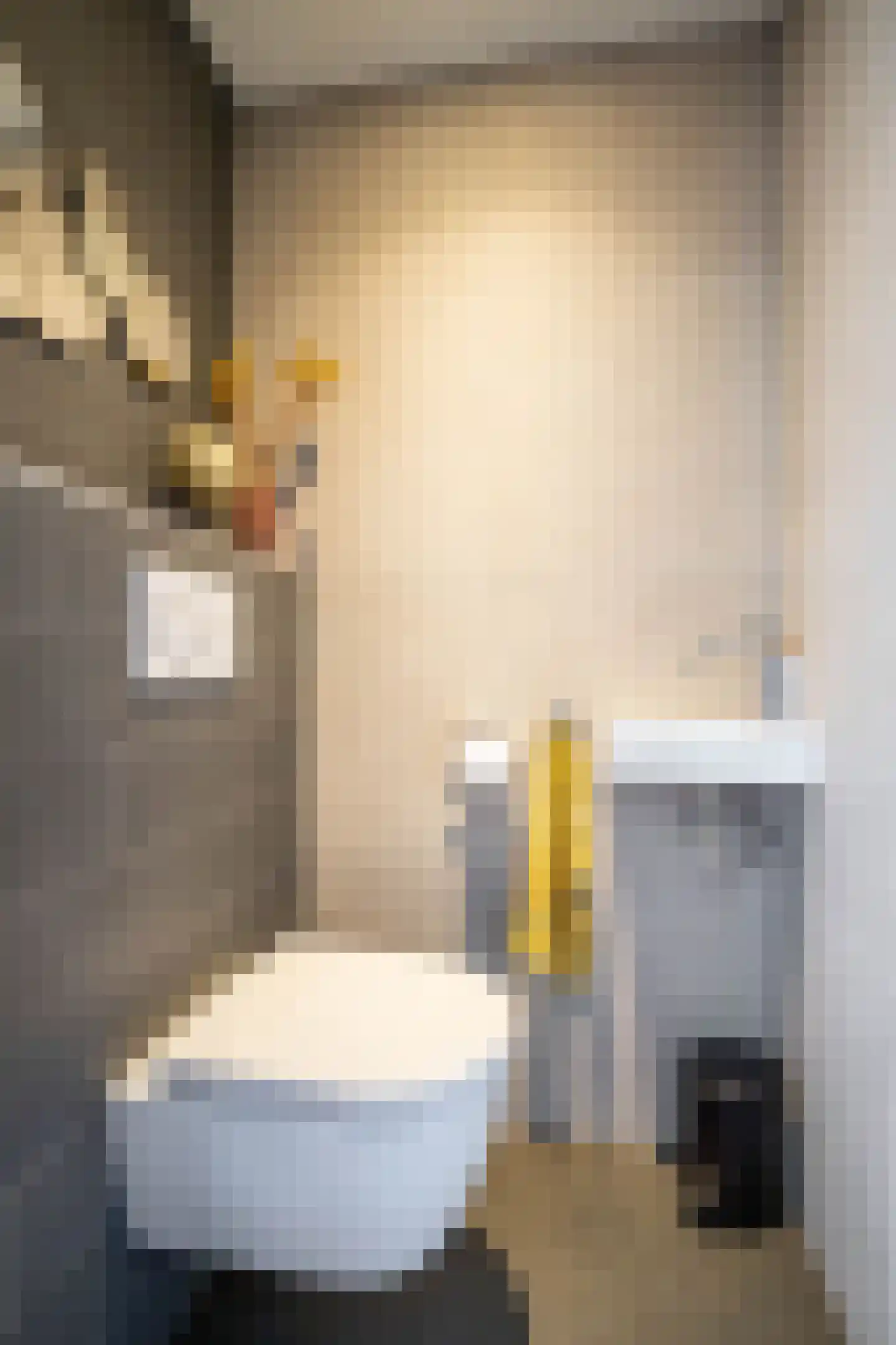 Jagerspaad 3 Beetsterzwaag thumbnail 9