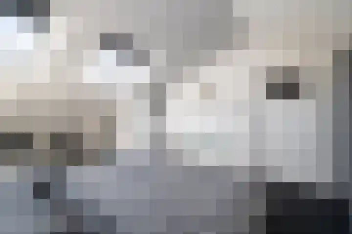 Jagerspad 13 Landgraaf thumbnail 19