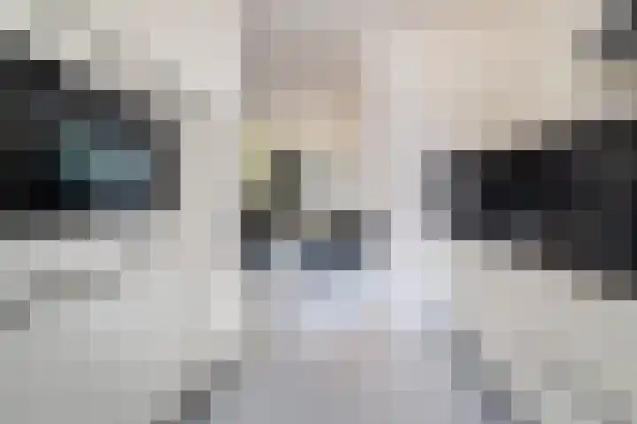 Jagerspad 13 Landgraaf thumbnail 9