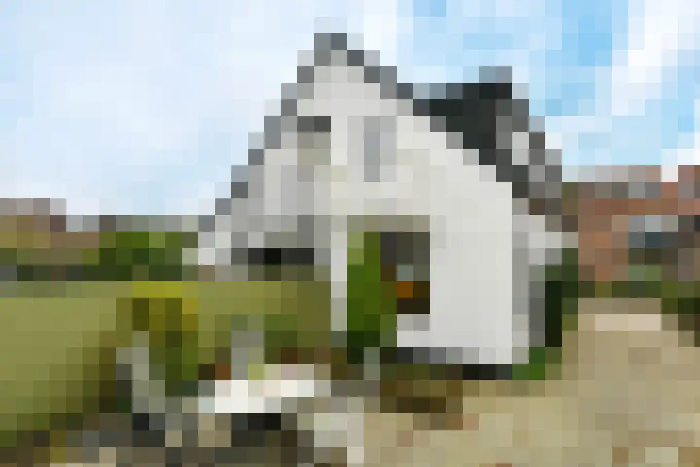 Jagerspad 19 Oosterbeek thumbnail 27