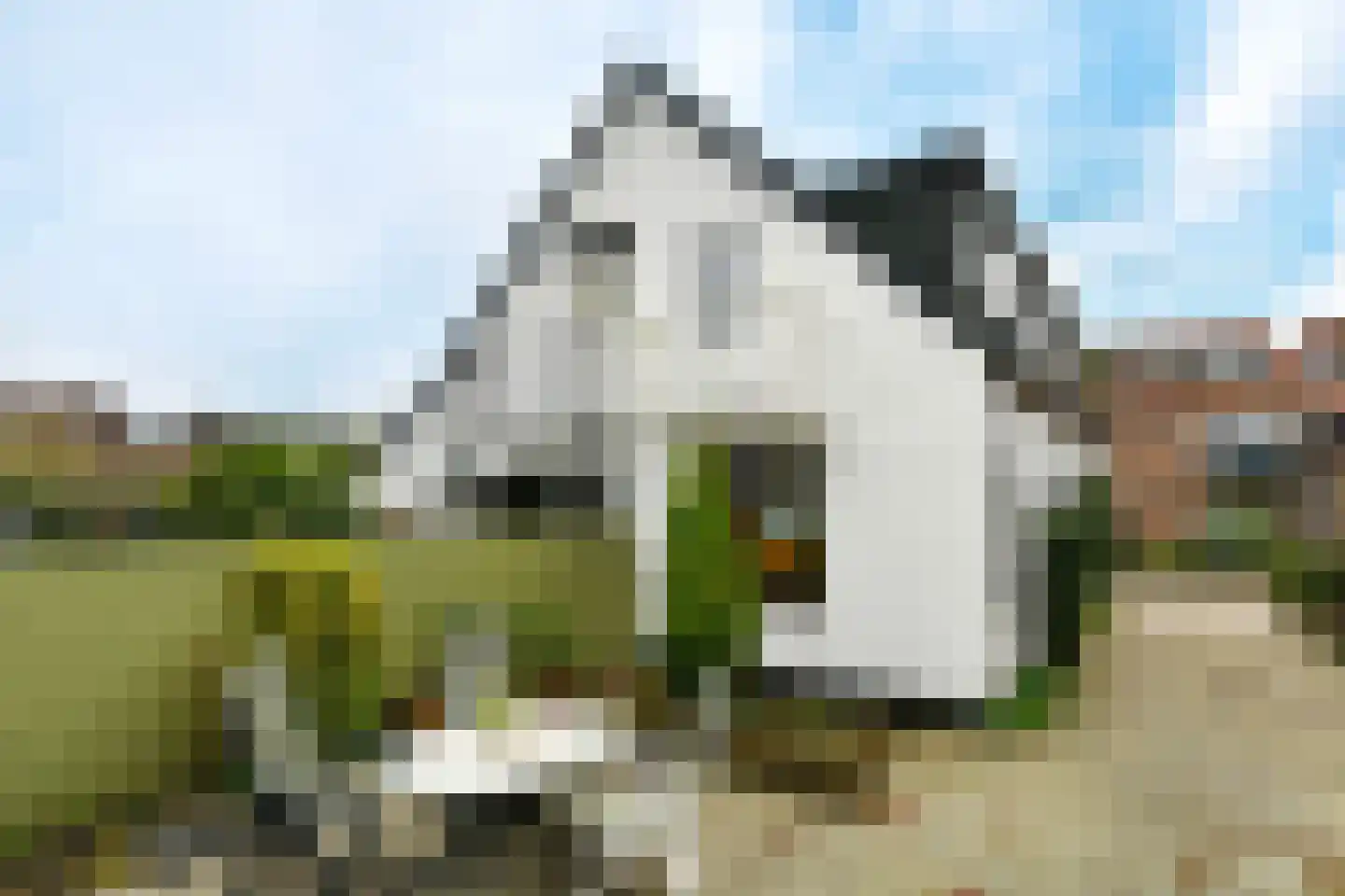 Jagerspad 19 Oosterbeek thumbnail 32