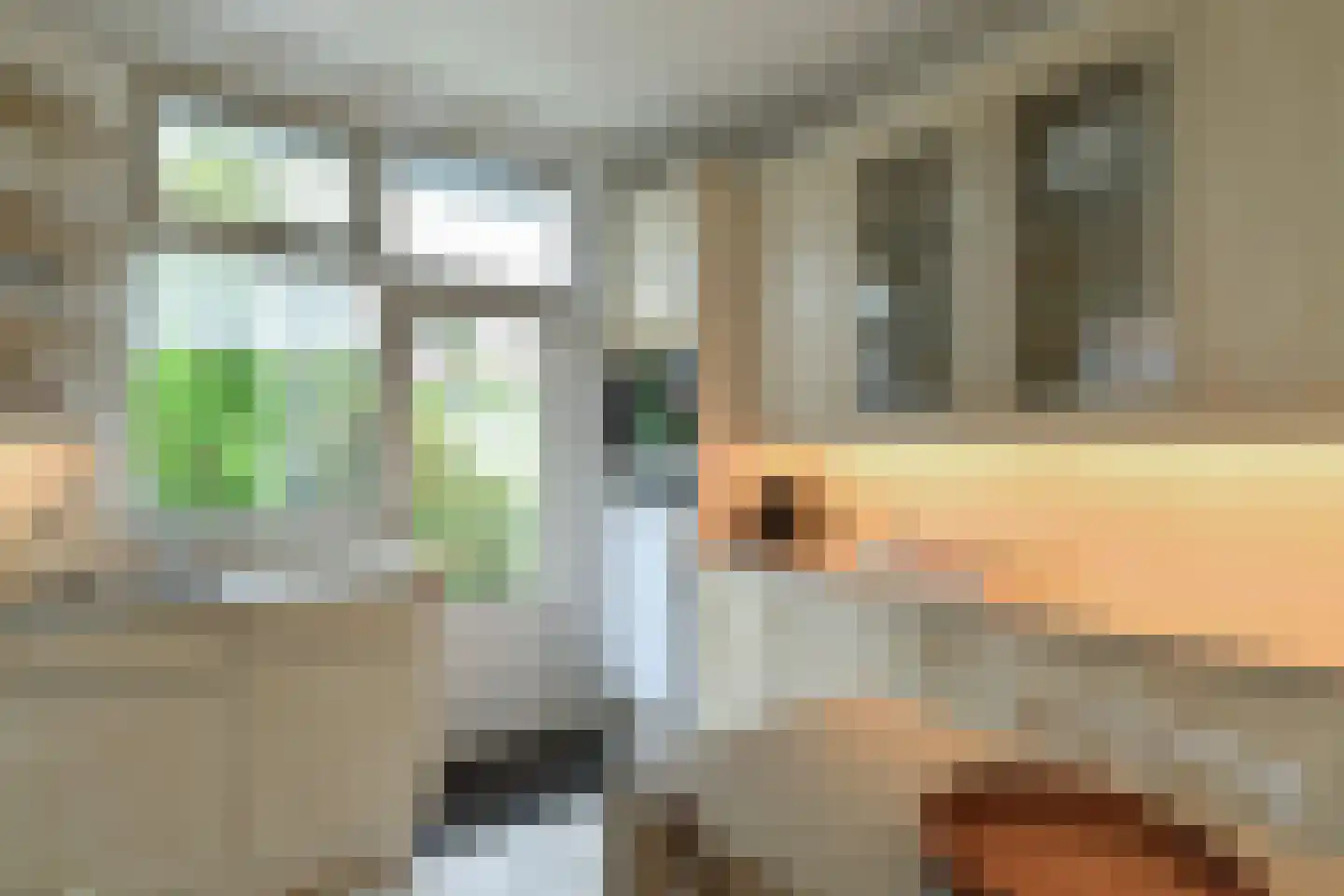 Jagerspad 19 Oosterbeek thumbnail 6