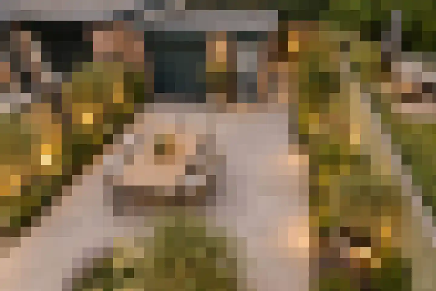 Jagerspad 19 Oosterbeek thumbnail 7