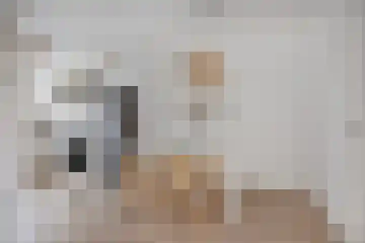 Jagerspad 25 Veenendaal thumbnail 10