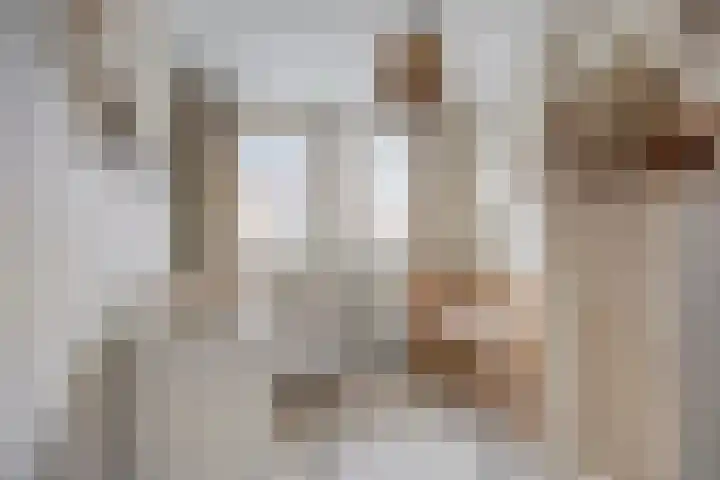 Jagerspad 25 Veenendaal thumbnail 24