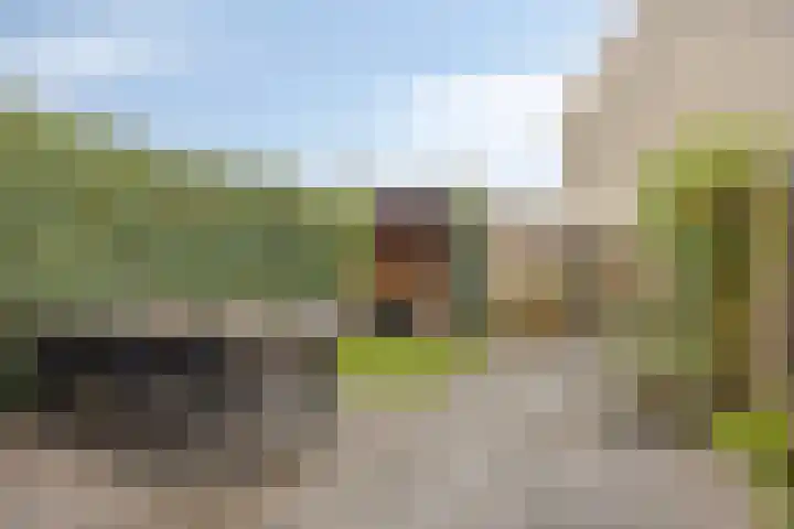 Jagerspad 25 Veenendaal thumbnail 36