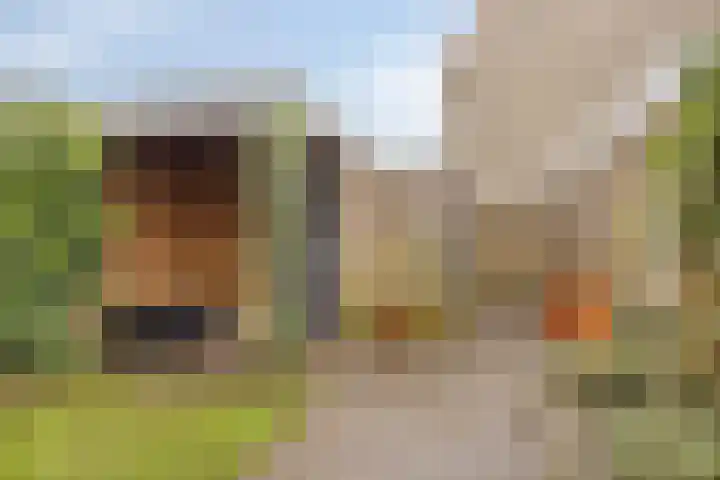 Jagerspad 25 Veenendaal thumbnail 37