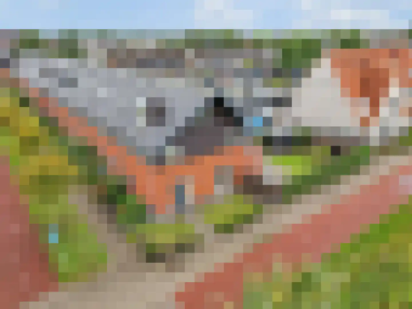 Jagerspad 27 Veenendaal thumbnail 50