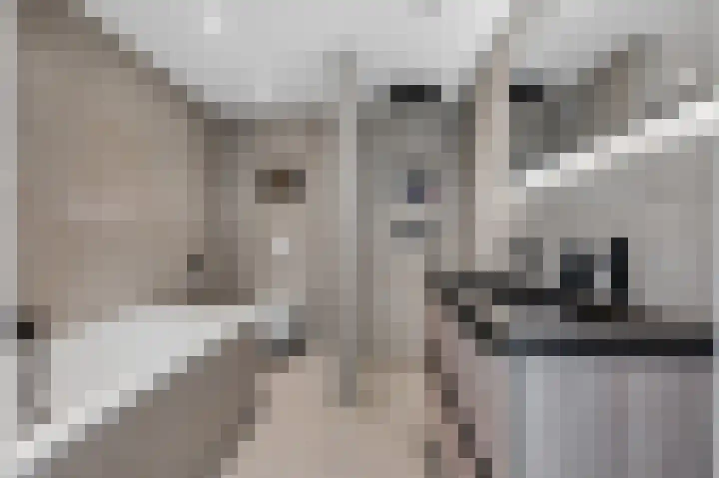 Jagerspad 27 Veenendaal thumbnail 7