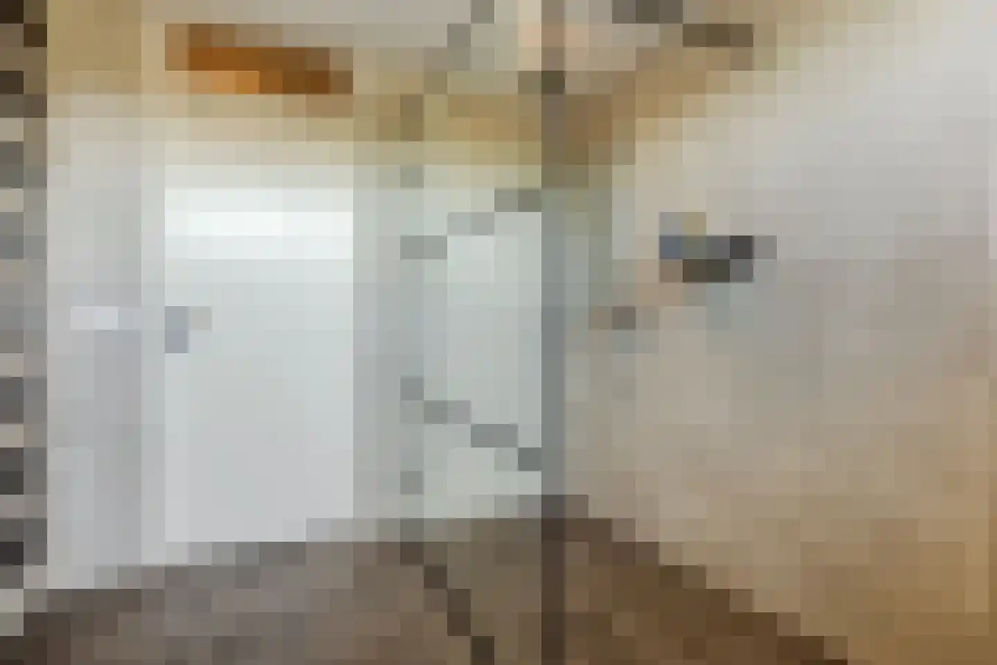 Jagerspad 29 Rijswijk (NB) thumbnail 22