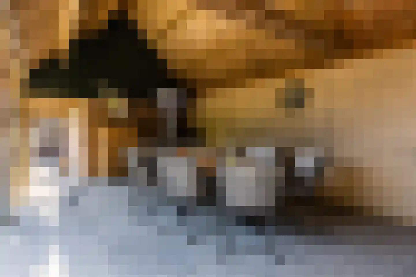 Jagerspad 29 Rijswijk (NB) thumbnail 33