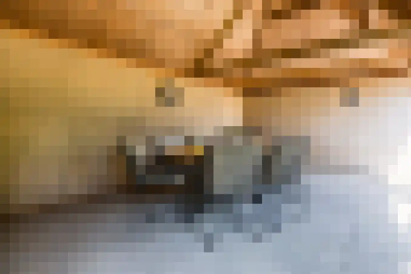 Jagerspad 29 Rijswijk (NB) thumbnail 34