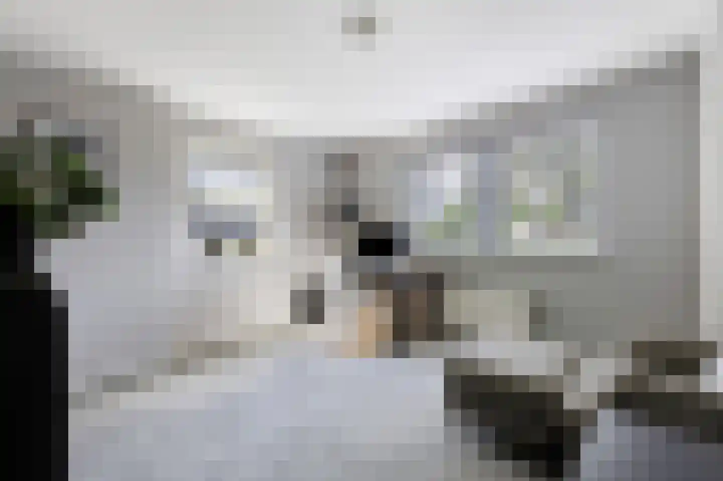 Jagerspad 3 Oosterbeek thumbnail 19