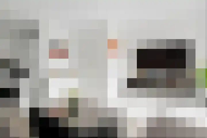 Jagerspad 3 Veenendaal thumbnail 10