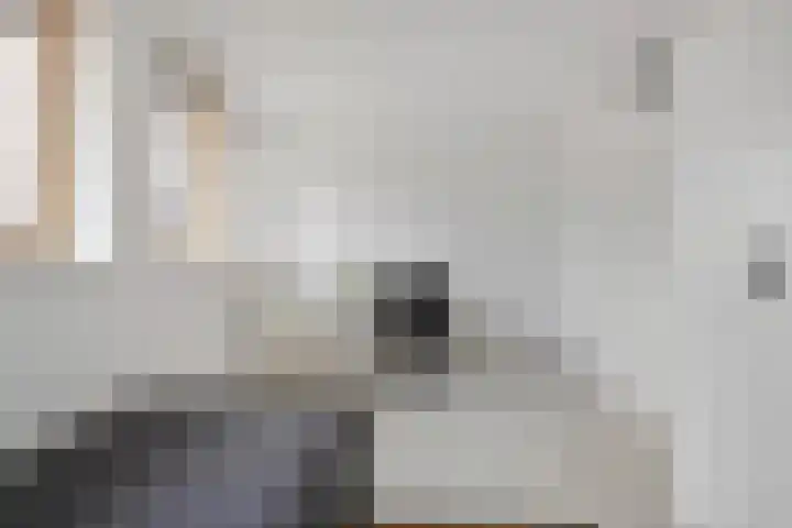 Jagerspad 3 Veenendaal thumbnail 21
