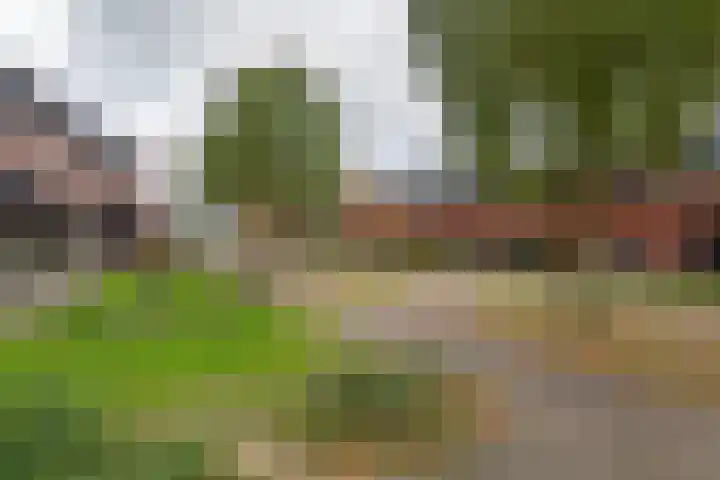 Jagerspad 3 Veenendaal thumbnail 27