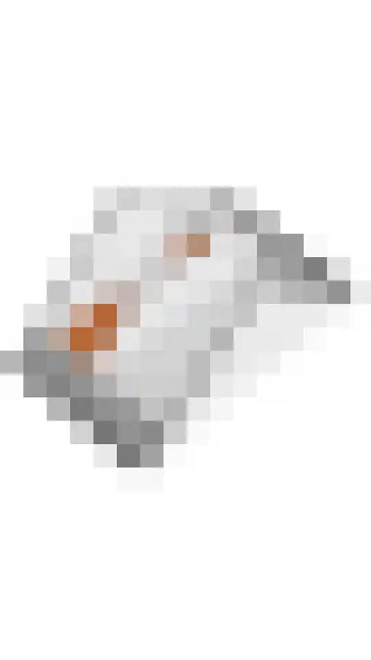 Jagerspad 3 Veenendaal thumbnail 33