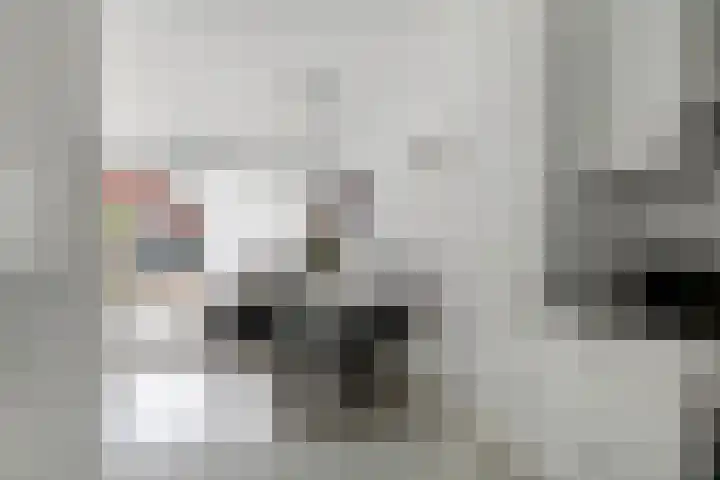 Jagerspad 3 Veenendaal thumbnail 8