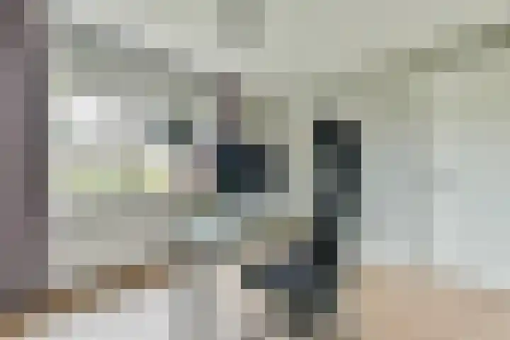 Jagerspad 33 Laren thumbnail 41