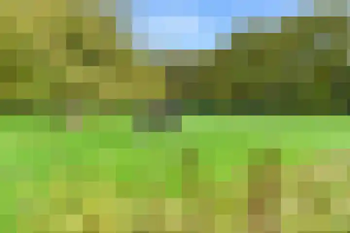 Jagerspad 33 Laren thumbnail 49