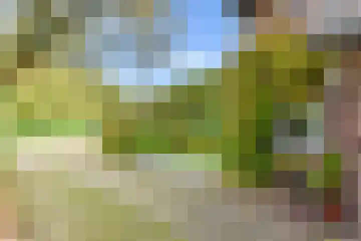 Jagerspad 33 Laren thumbnail 8