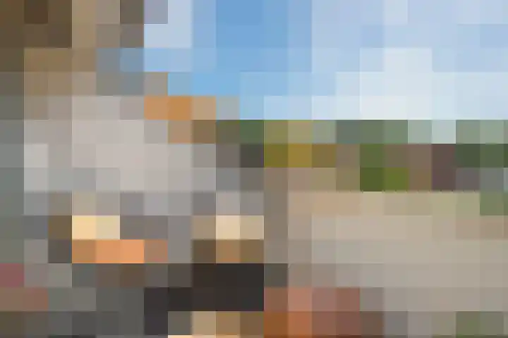 Jagerspad 4 B Oosterbeek thumbnail 10