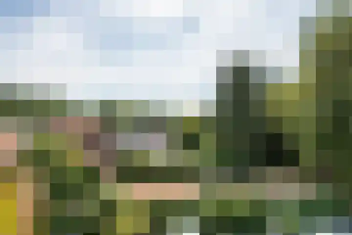 Jagerspad 4 B Oosterbeek thumbnail 11