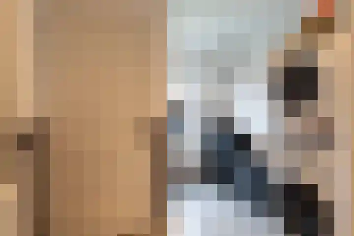 Jagerspad 4 Giessen thumbnail 17