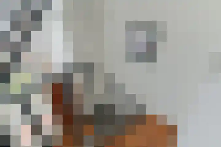 Jagerspad 4 Giessen thumbnail 32