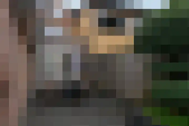 Jagerspad 4 Giessen thumbnail 36