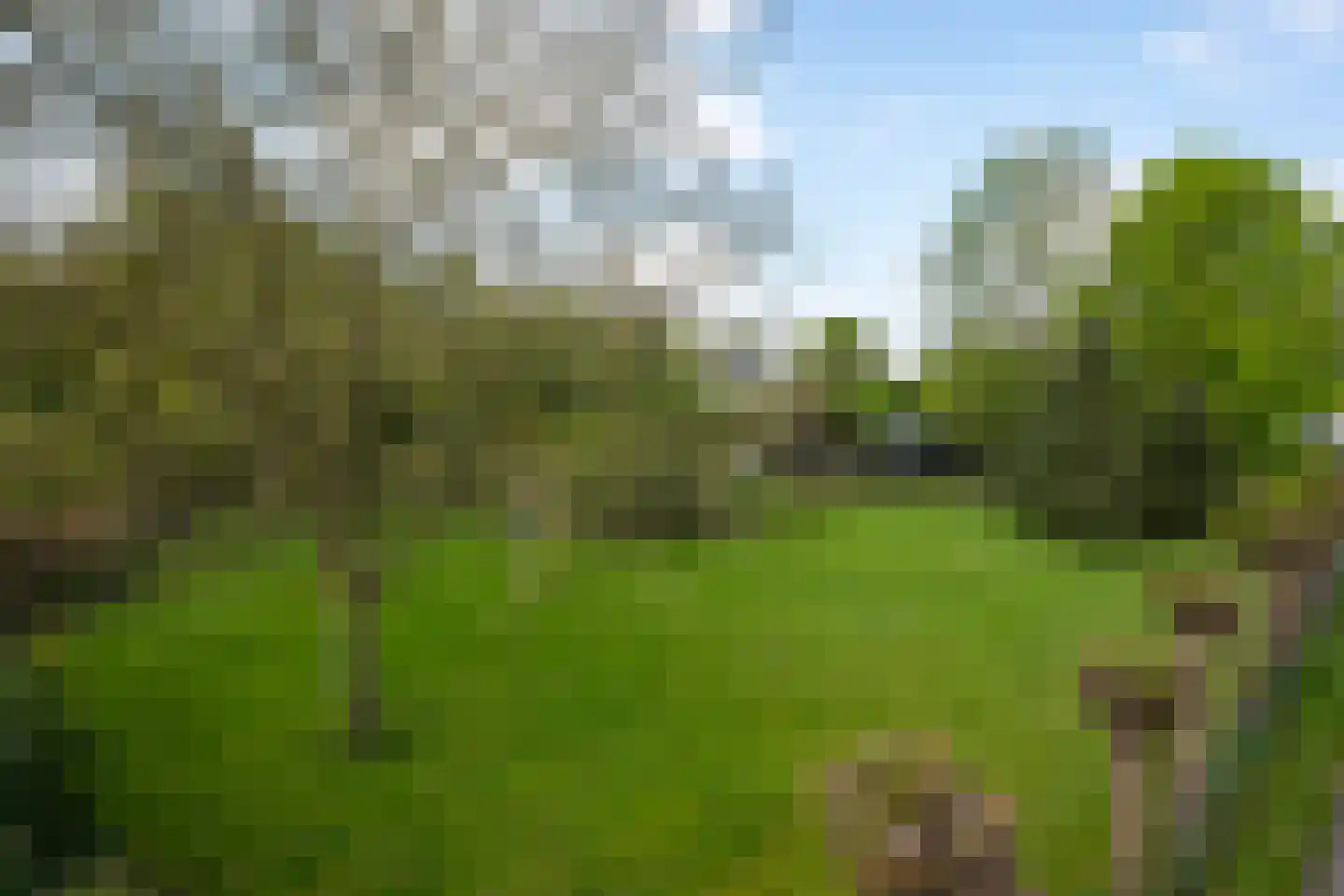 Jagerspad 4 Landgraaf thumbnail 23