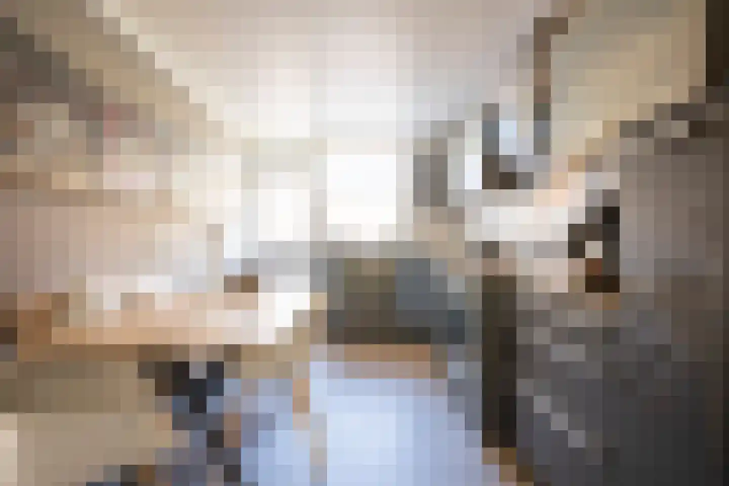 Jagerspad 4 Landgraaf thumbnail 9