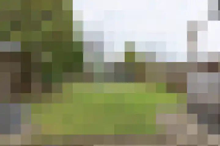 Jagerspad 51 Landgraaf thumbnail 22