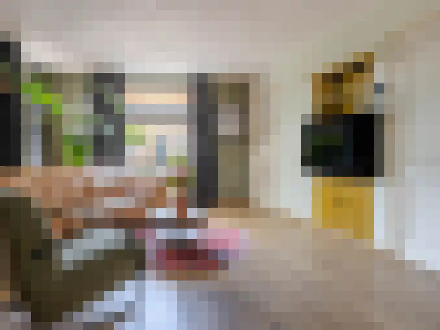 Jagerspad 7 Smilde thumbnail 13