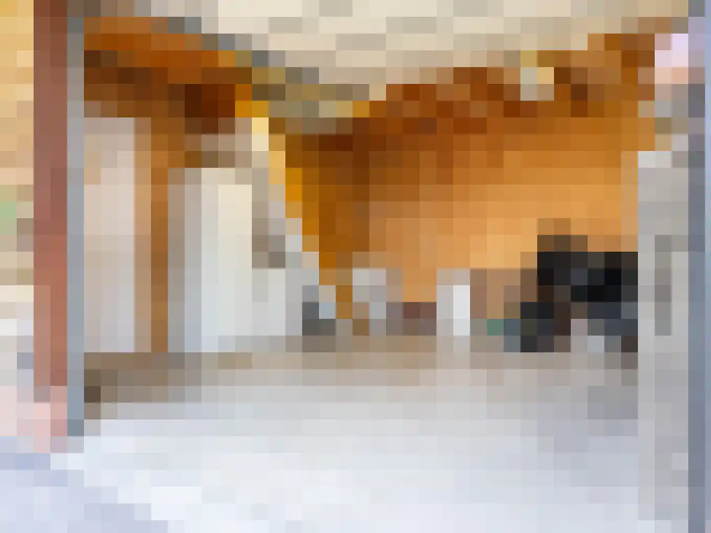 Jagerspad 7 Smilde thumbnail 44