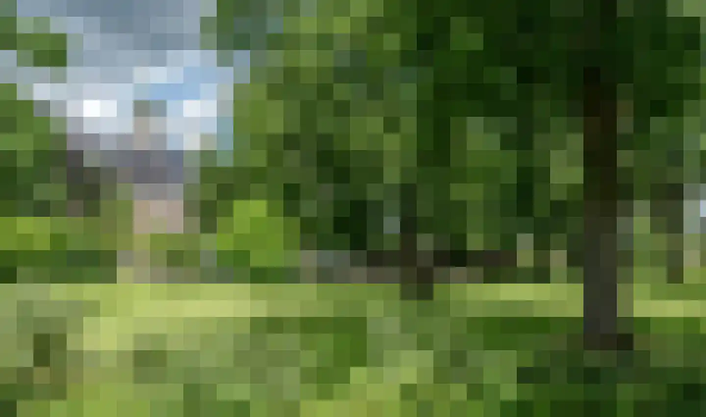 Jagerspad 7 Smilde thumbnail 47