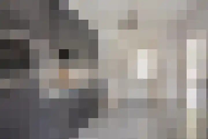 Jagerstraat 12 Herkenbosch thumbnail 16
