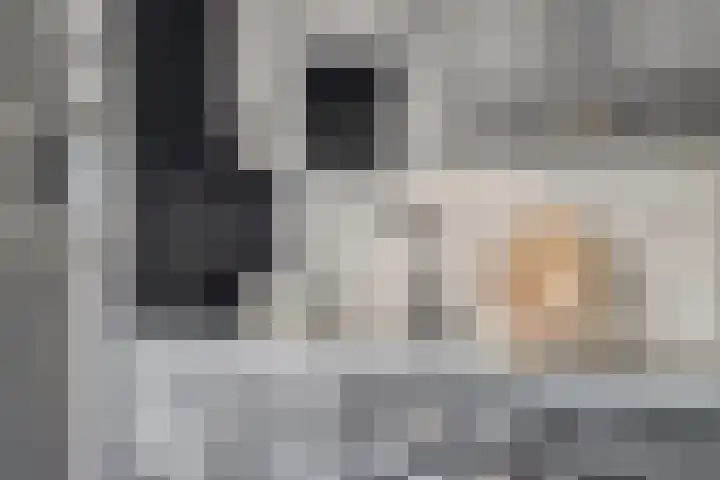 Jagerstraat 12 Herkenbosch thumbnail 17