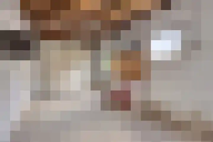 Jagerstraat 12 Herkenbosch thumbnail 30