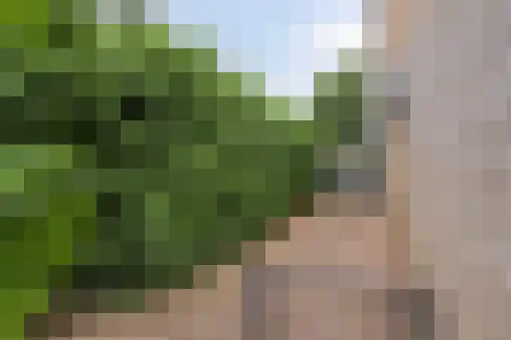 Jagerstraat 12 Herkenbosch thumbnail 34
