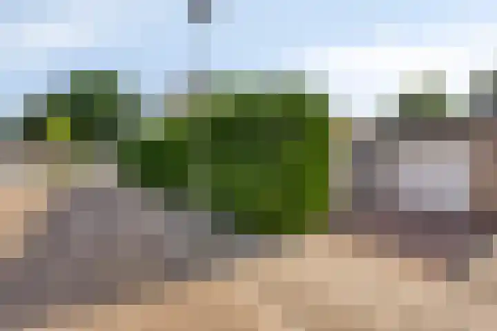 Jagerstraat 12 Herkenbosch thumbnail 37