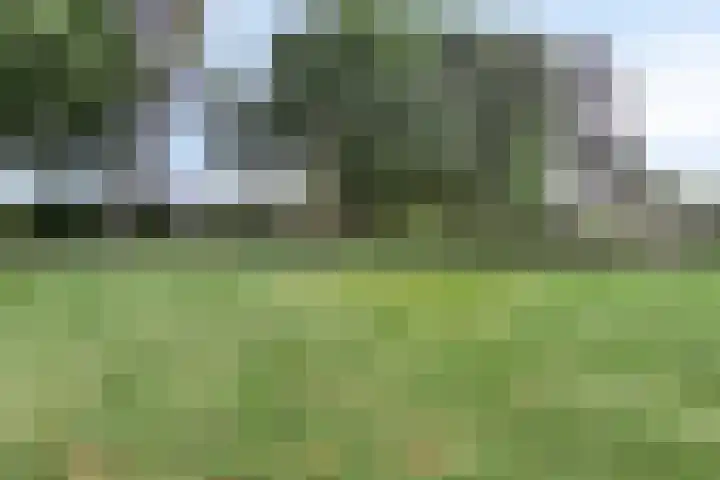 Jagerstraat 12 Herkenbosch thumbnail 38