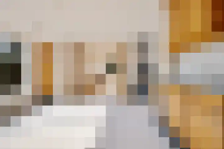 Jagerstraat 15 Taarlo thumbnail 17