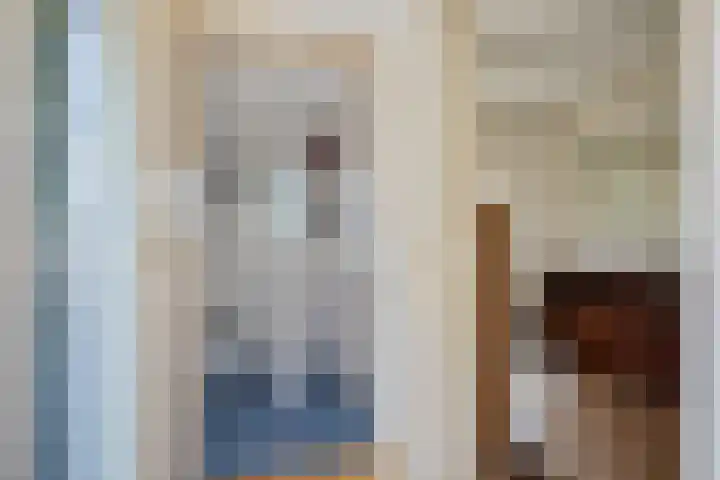 Jagerstraat 15 Taarlo thumbnail 21