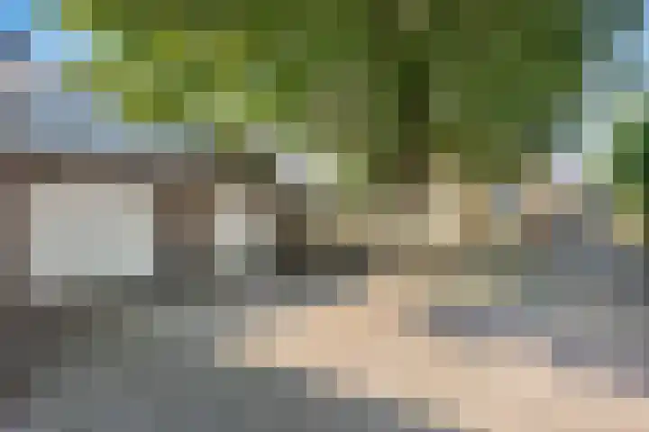 Jagerstraat 15 Taarlo thumbnail 37